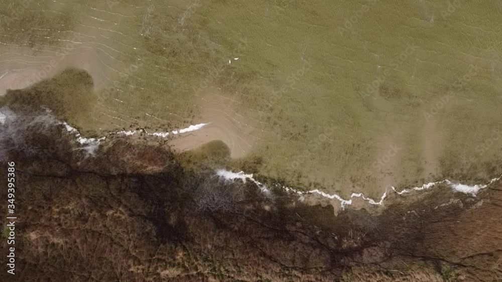 Flug über Schilf und Ufer / Müritz