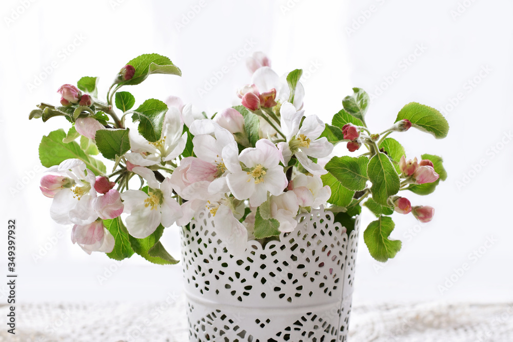 spring apple blossoms in vase isolated on white spring apple blossoms in vase isolated on white