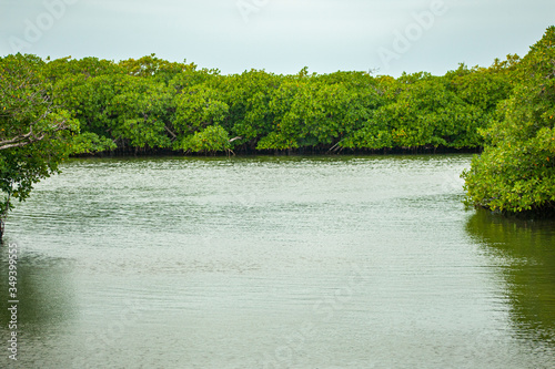 Fotografia rió en san pedro belize