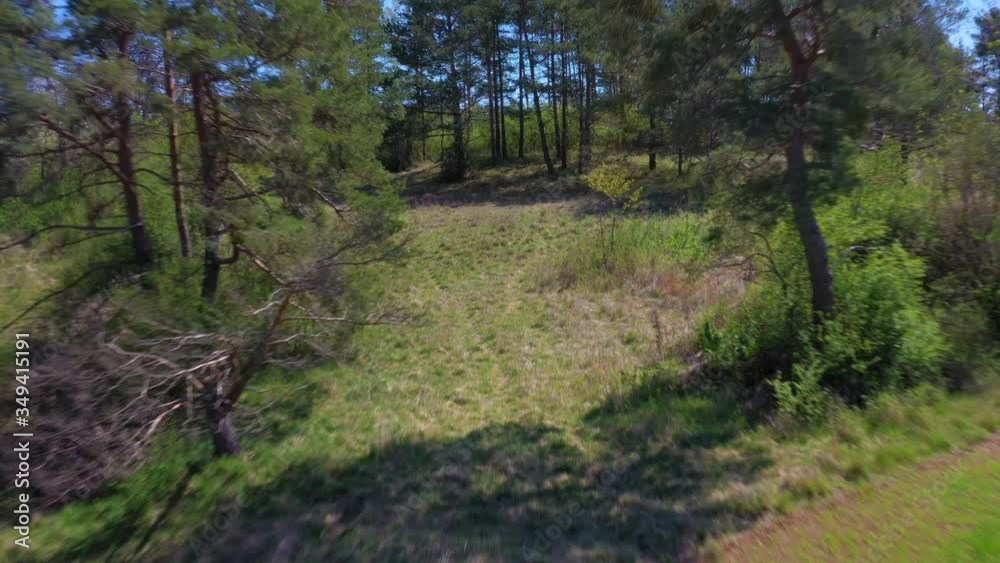 Drone shot in a beautiful forest landscape to a small clearing. Drone shot in a beautiful forest landscape to a small clearing.