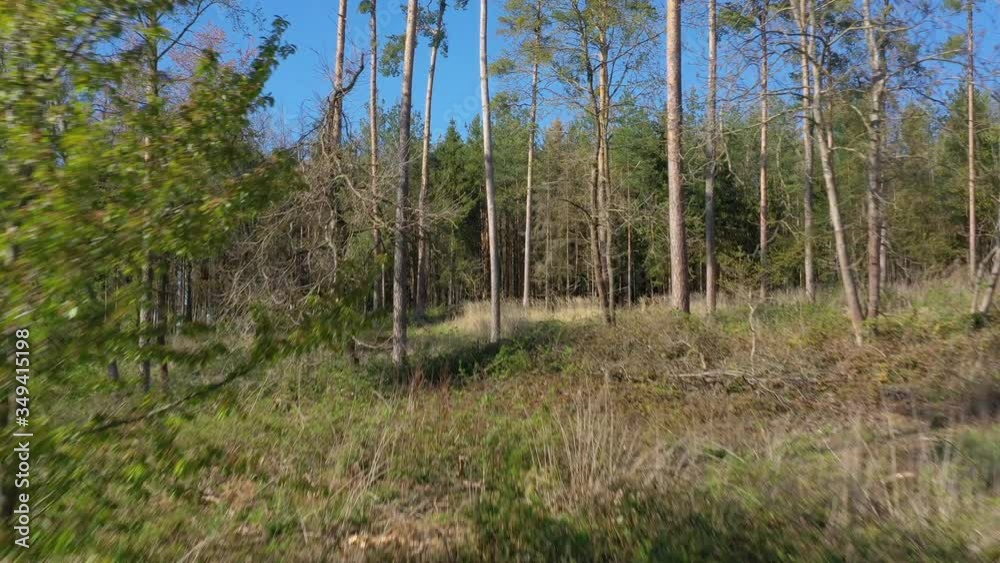 Long climb between trees and then over the treetops to a wide forest landscape. Long climb between trees and then over the treetops to a wide forest landscape.