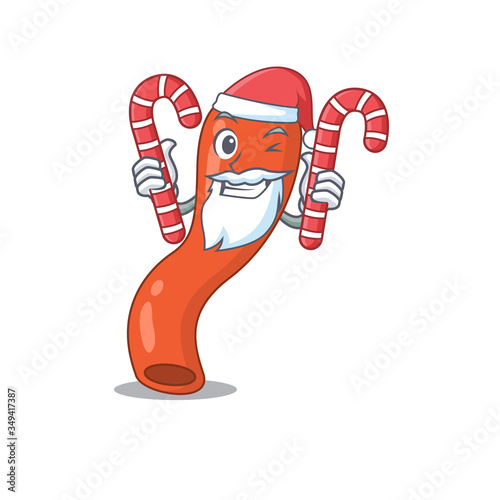 Friendly appendix dressed in Santa Cartoon character with Christmas candies