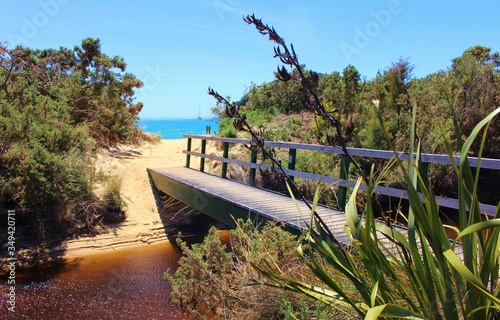Hike towards Beach Paradise - footbrigde leading to Torrent Bay at Abel Tasman National Park in New Zealand