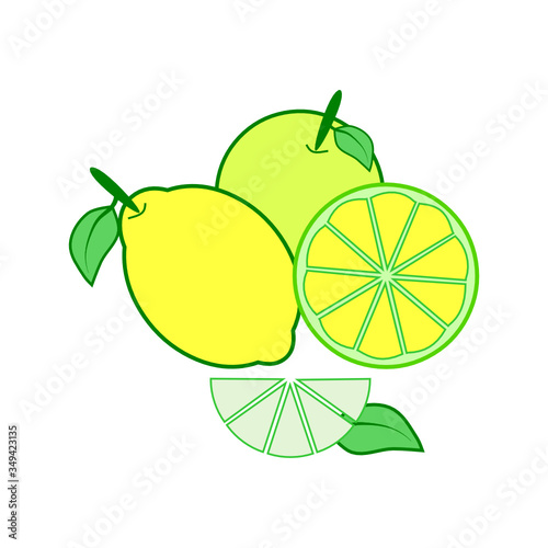 lemon and lime citrus fruit and slice on white 