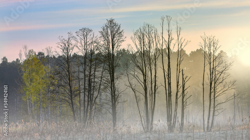 Fototapeta Naklejka Na Ścianę i Meble -   wschód słońca na Mazurach w północno-wschodniej Polsce