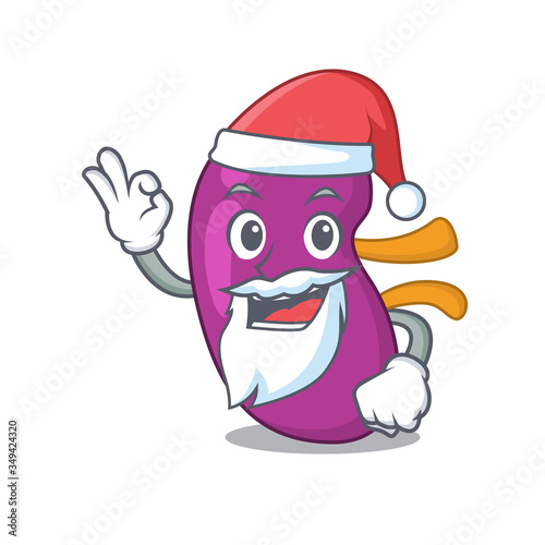 cartoon character of kidney Santa having cute ok finger