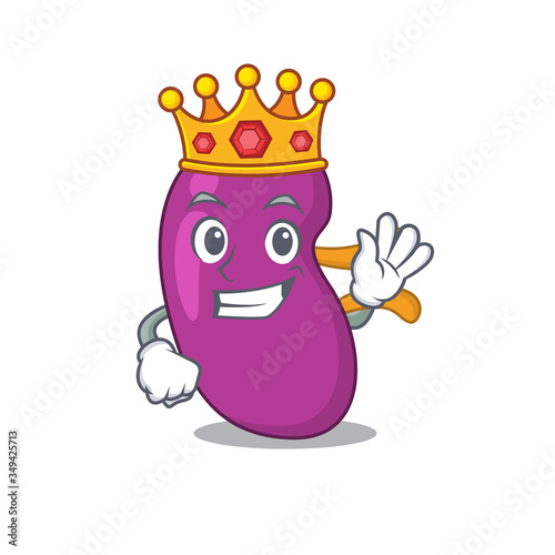 A Wise King of kidney mascot design style with gold crown © kongvector