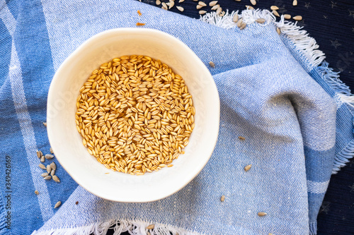 Wheat, rye, barley seeds cereals soaked in water. 
