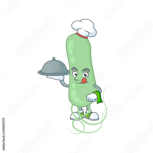 A aquificae chef cartoon mascot design with hat and tray
