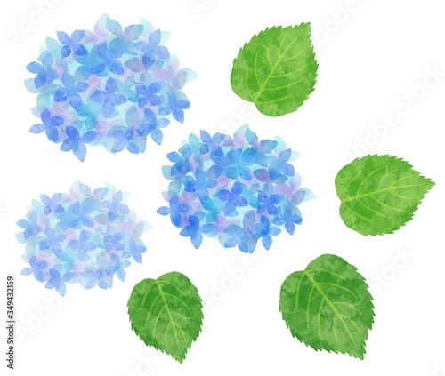 紫陽花 あじさい 花と葉のパーツ 水彩風イラスト素材 青 水色