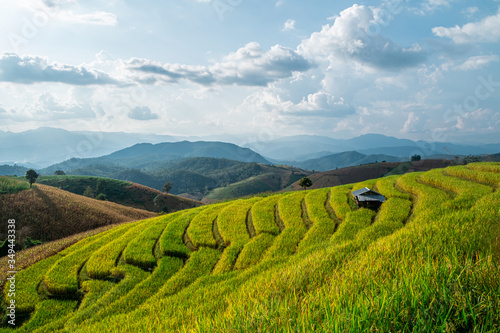 Rice terraces of hill tribe people in Mae Chaem District Chiang Mai is becoming golden, looks refreshing and relaxed.