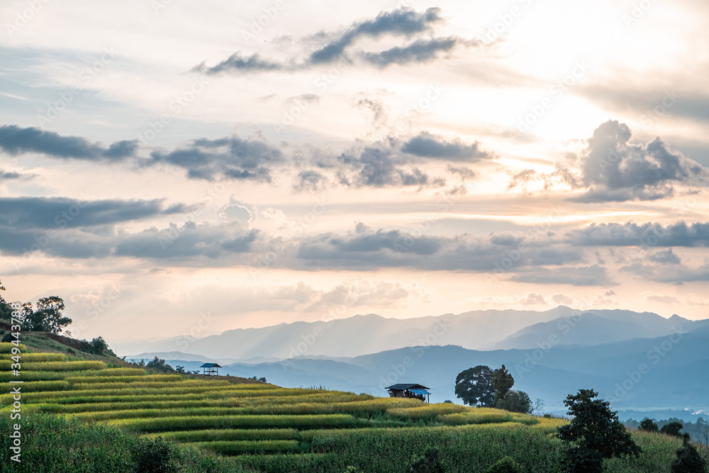 Fototapeta premium Rice terraces of hill tribe people in Mae Chaem District Chiang Mai is becoming golden, looks refreshing and relaxed.