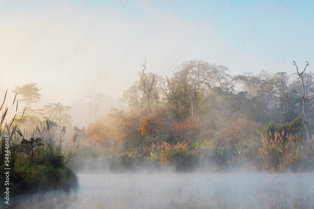 morning time view of mist over pond and color change, mysterious place