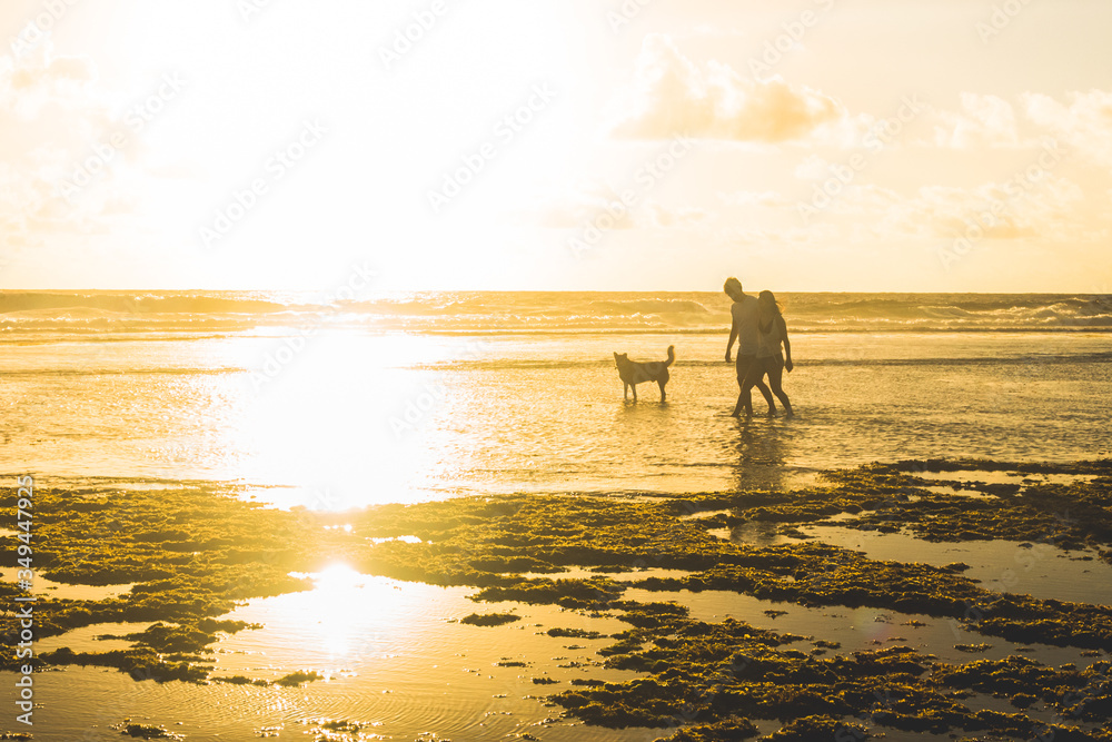 Siargao Island Palms Beach Ocean