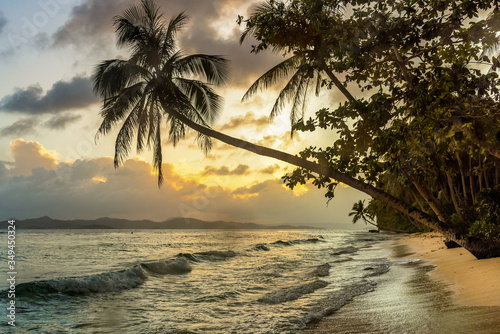 Siargao Island Palms Beach Ocean photo