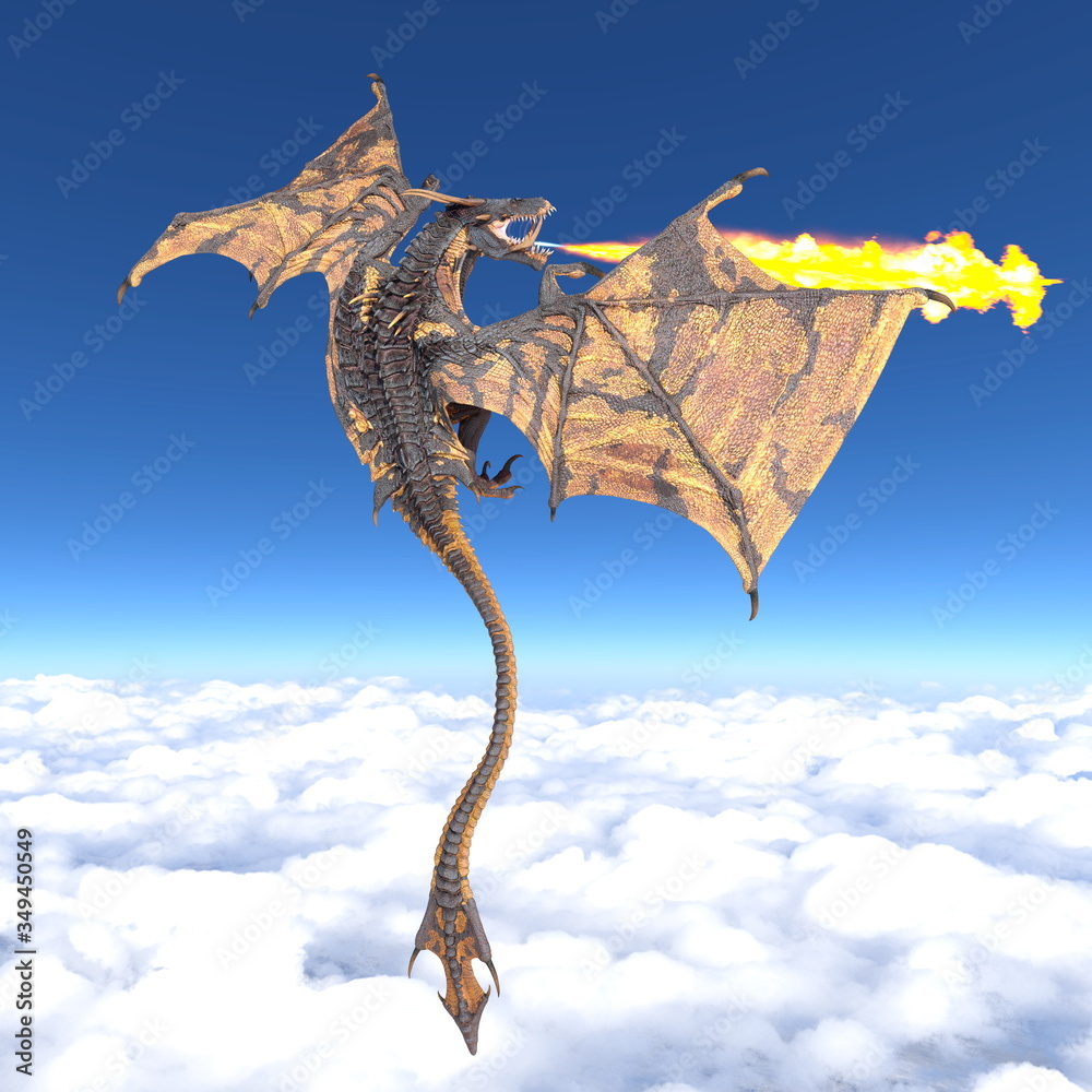 Fototapeta premium ドラゴン