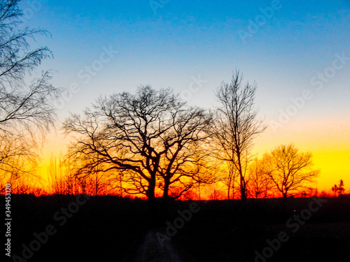 sunset in the forest © KurtErik