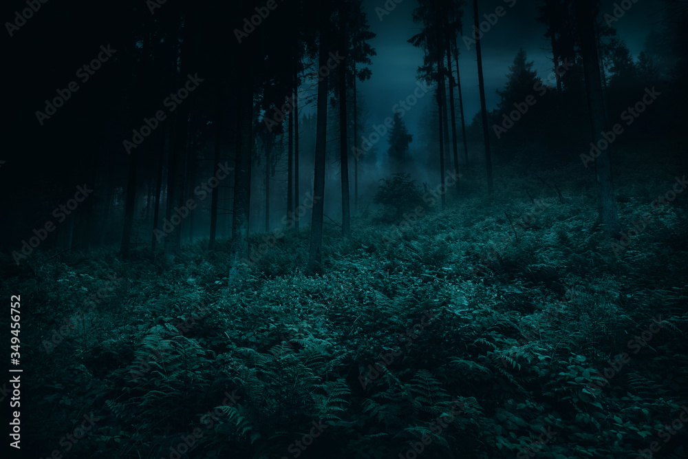 Mist in between a trees of magic mysterious night dark spruce spooky forest with ferns. Opulent vegetation on foreground. Halloween backdrop. Mist in between a trees of magic mysterious night dark spruce spooky forest with ferns. Opulent vegetation on foreground. Halloween backdrop.