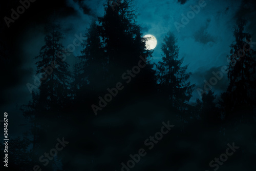 Full moon over the spruce trees of magic mystery night spooky forest. Halloween backdrop.