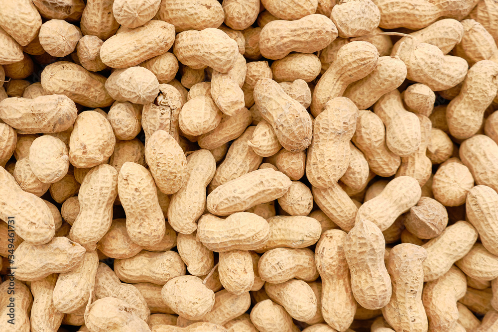 peanuts in the shell background or texture peanuts in the shell background or texture