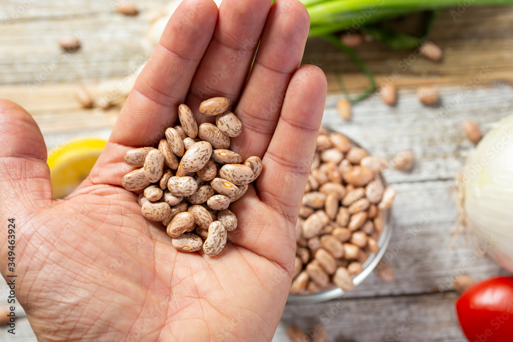 A top down view of a hand holding a pile of dried pinto beans, in a still life setting. A top down view of a hand holding a pile of dried pinto beans, in a still life setting.