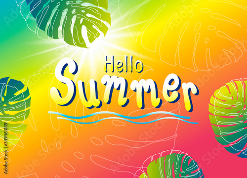 Summer banner design of monstera tropical leaves vector illustration