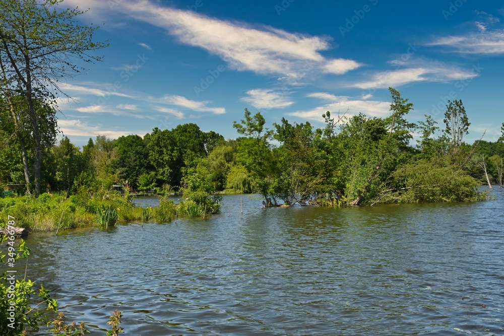 Naklejka premium Bords de l'étang