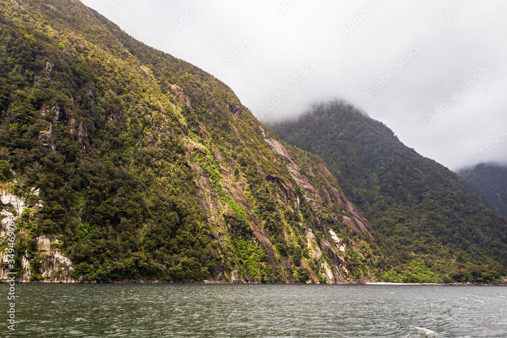 Steep slopes, covered with greenery on the banks of the fjord. FiordLand National Park. New Zealand
