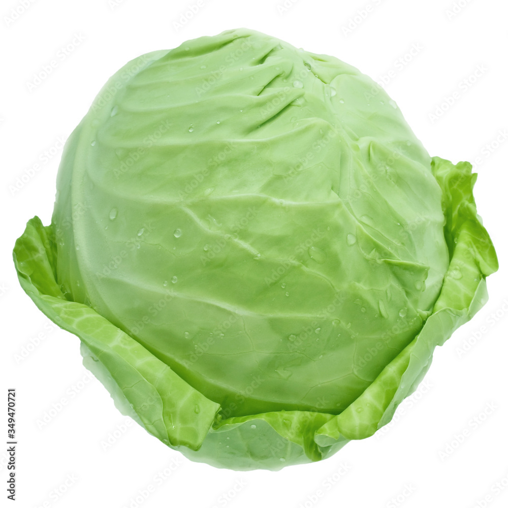 cabbage cabbage