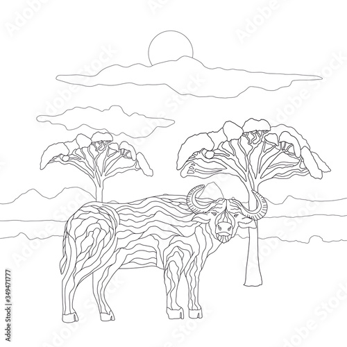 Coloring book for adults and children with a buffalo on the background of a landscape of sky and savannah trees. Cute wild bull in lines. Coloring book with kind animals herbivores in the savannah