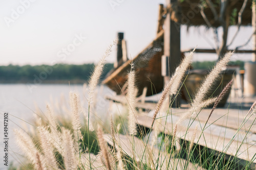 Brown grass flowers isolated from wooden cradle and river background. Wooden cradle near river.