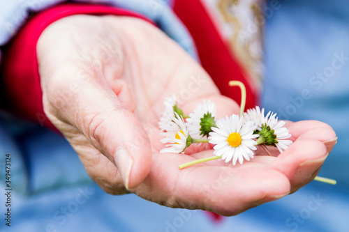 woman with yellow and white daisies in hands