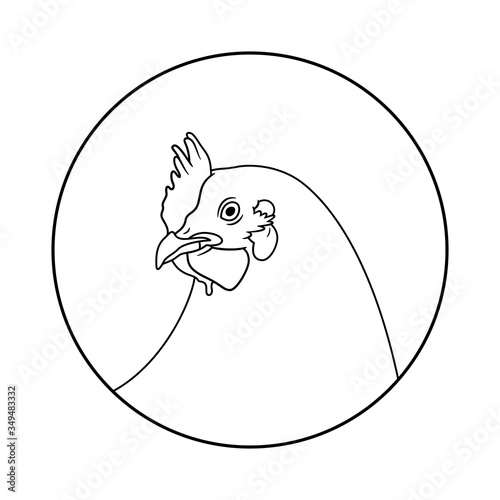 Chicken head looking to the side in a circle. Uncolored animal line art illustration Logotype for farm business or meat shop. Image isolated on white background. Logo icon of henn in realistic style. photo