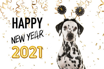 Portrait of a pretty dalmatian dog wearing a new year diadem on a white background with golden party garlands and text happy new year 2021