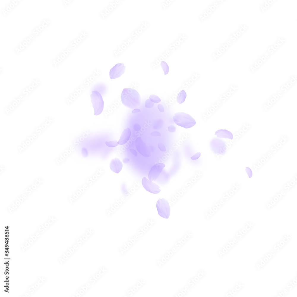 Violet flower petals falling down. Alive romantic Violet flower petals falling down. Alive romantic