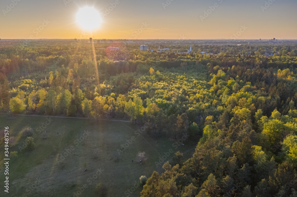 Evening sun above south German alpine pine forest near Munich. Aerial view of Perlacher Forst drone picture