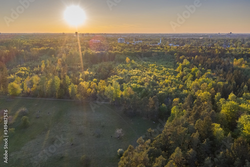 Fototapeta Naklejka Na Ścianę i Meble -  Evening sun above south German alpine pine forest near Munich. Aerial view of Perlacher Forst drone picture
