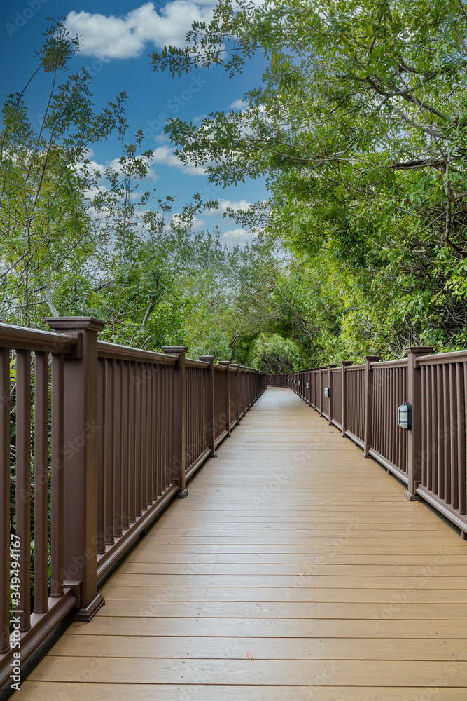 Wood Walkway In Tropical Forest in Florida