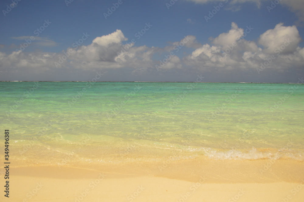 Obraz premium 透き通る海