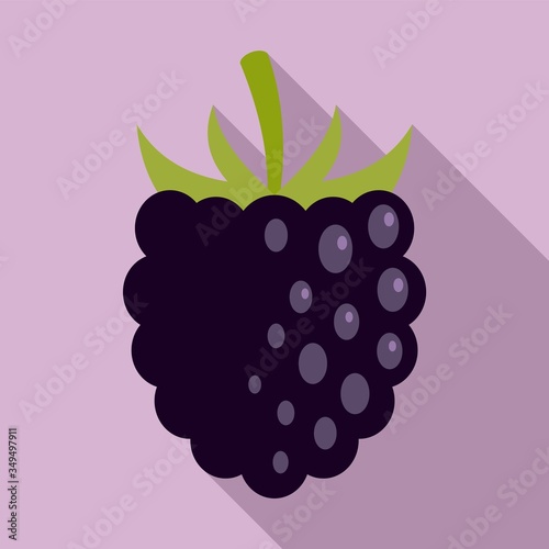 Rowan blackberry icon. Flat illustration of rowan blackberry vector icon for web design