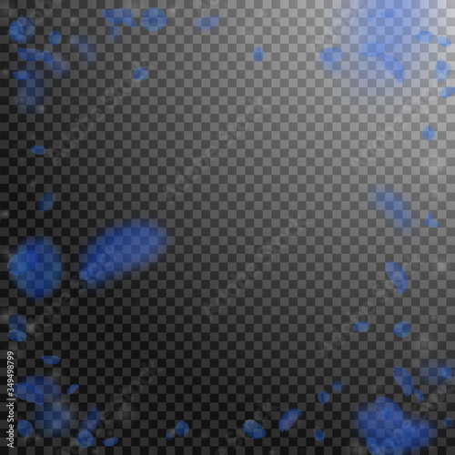 Dark blue flower petals falling down. Positive rom