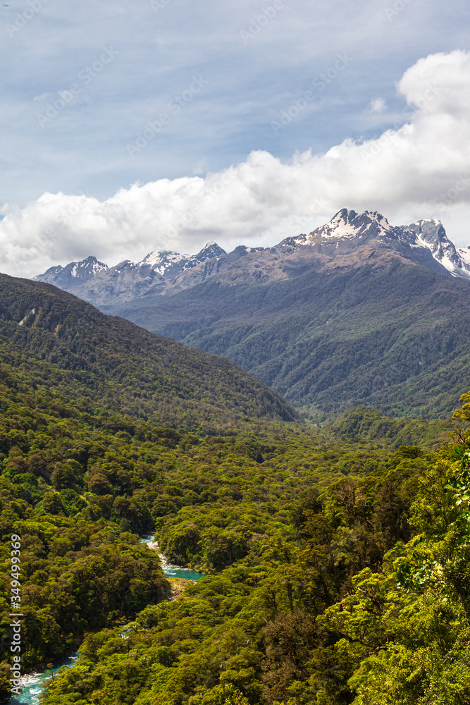 Fototapeta premium Fiordland National Park. Landscapes of the South Island. View of the snow-capped mountains, dense forest and the river below. New Zealand