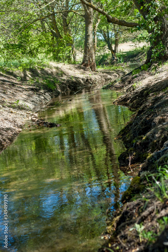 Beautiful small creek in the forest on a sunny summer day . Vertical orientation