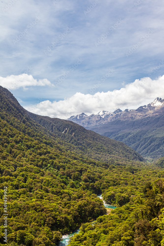 Fototapeta premium Landscapes of Fiordland National Park. View of the mountains, dense forest and the river below. New Zealand