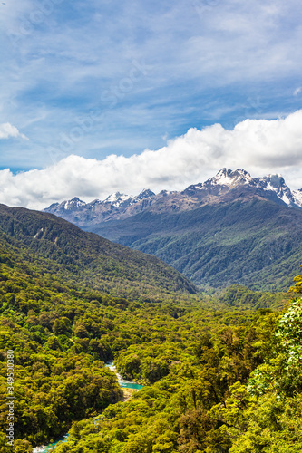 The pop's view lookout to the forest and the river. Fiordland National Park, New Zealand
