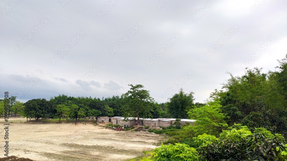 landscape with trees  clouds and colony 