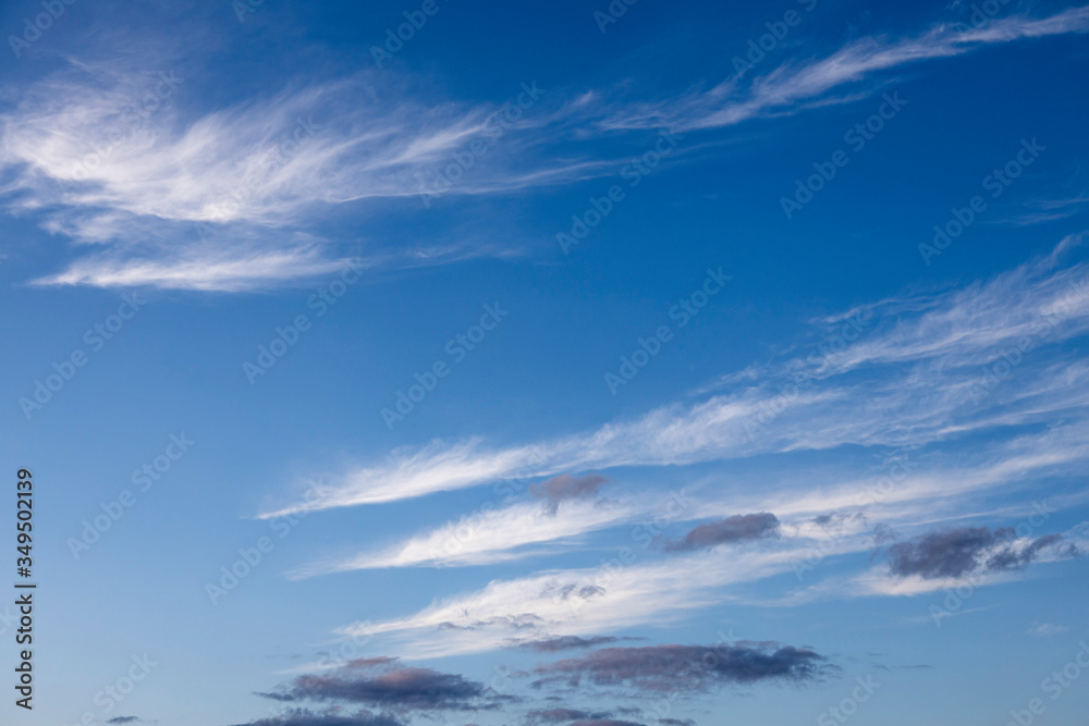 beautiful white Cumulus clouds on a blue. Background and texture of the sky