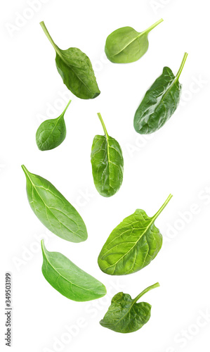 Set with fresh green spinach leaves falling on white background