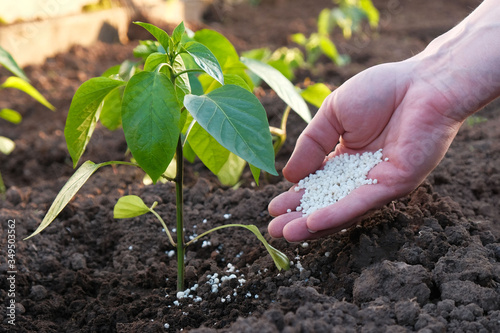 Hand giving synthetic fertilizers to accelerate plant growth