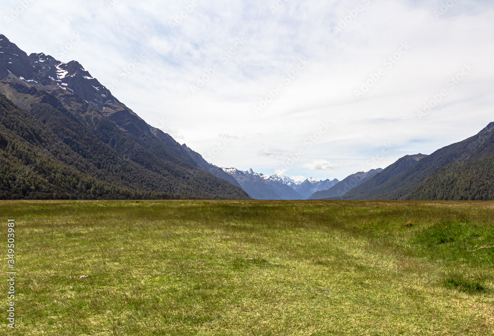 Field and the distant snow-capped mountains on the way to Fiordlend National Park. New Zealand